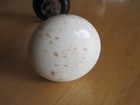 Vintage Farm Porcelain Black & White Door Knob Set, Adjustable Shaft, New Screws — photo 3