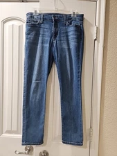 Joe's Jeans Women's Size 30 Blue Straight Leg Stretch Denim.