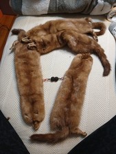 Looking For Lovely, Mary? 4 Pelt Mink Collar Heads Tails And Feet