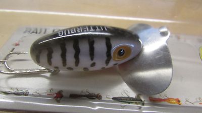 accent fishing lures Lazy Lures