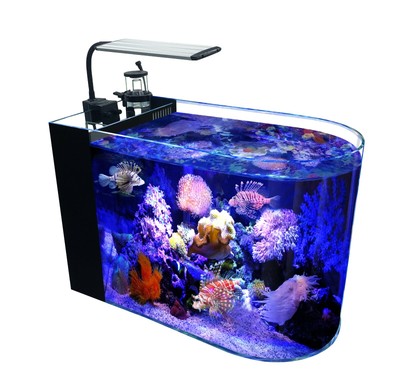 reef ready aquarium
