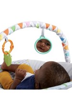 Bright Starts Baby Bouncer Soothing Vibration Infant Seat 0-6 Mo. Up to 20 lbs