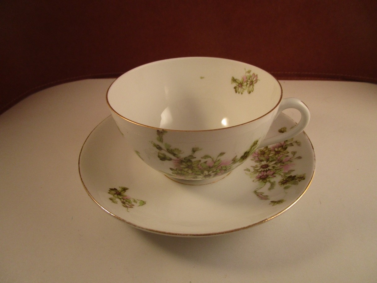 Vintage LS&S Carlsbad Austria Green Pink Flowers Set of 1 Cup & 3