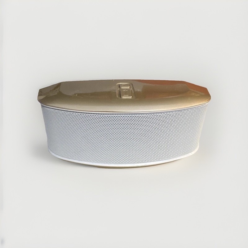 Brookstone BZSP804 Bluetooth Portable Speaker AUX 6W Gold/White