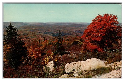 View From Summit Of Spruce Knob, Elevation 4,860'