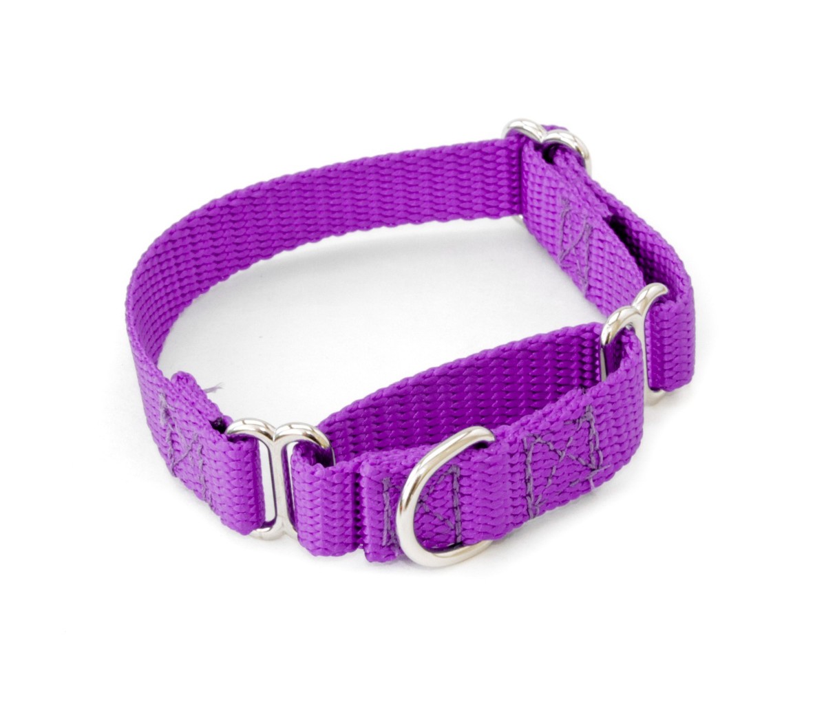 1/2 Inch Martingale No Slip Dog Collar Walking Training Nylon Dog