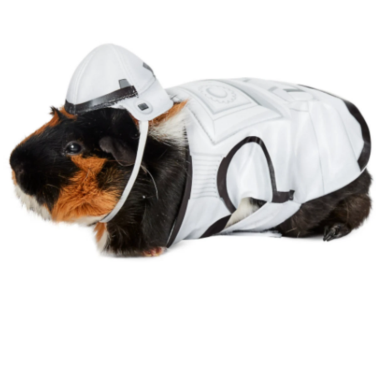 Guinea 2024 pig outfit