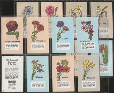 LYONS (EIS & TEE) - KOMPLETTES SET - BLUMEN 1976 (AUSGESCHNITTENE M14 KARTEN) TOP+++