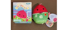 New McDonalds Squishmallows FIFA World Cup 2026 Plush BARELLA Toy 7