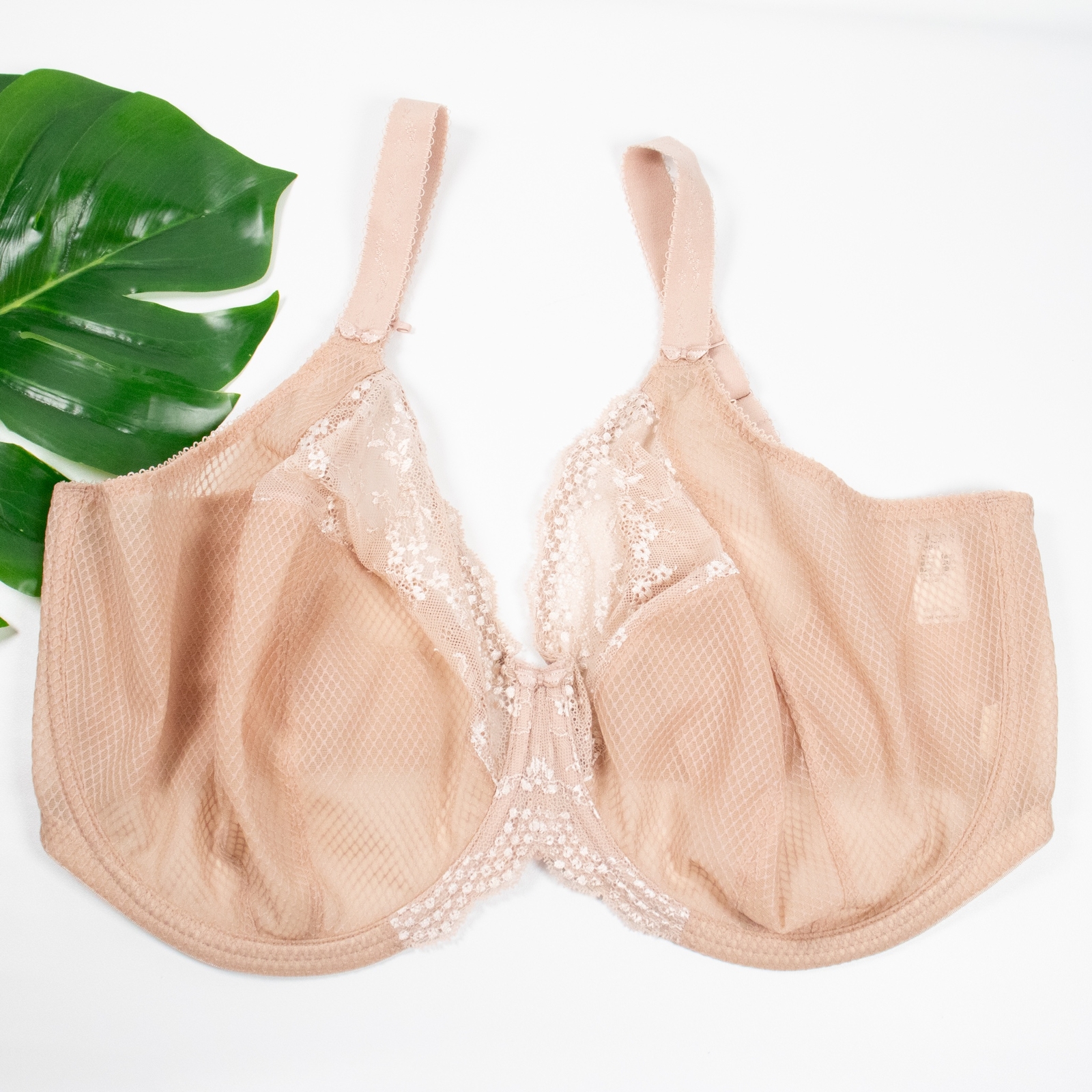 New Elomi Bra Size 40N Charley Plunge Underwire Lace Beige Unlined EL4382 NWOT eBay