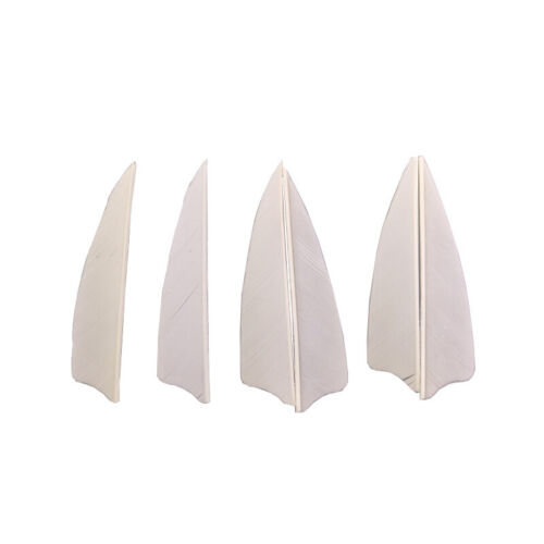 50pcs 3" Archery Arrow Feather Natural Turkey Fletches Fletching Right Left Wing - Picture 6 of 19