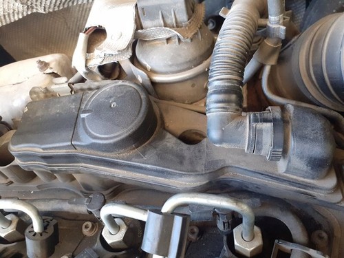 03L103469 zylinderkopfhaube VOLKSWAGEN TIGUAN 5N1 ADVANCE eur0p1718711