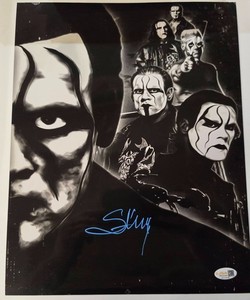 Sting Wrestler Autograph | eBay