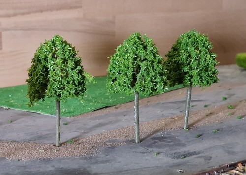 20 Medium Green Deciduous Trees, 95 mm, 9.5 cm High - Picture 9 of 22