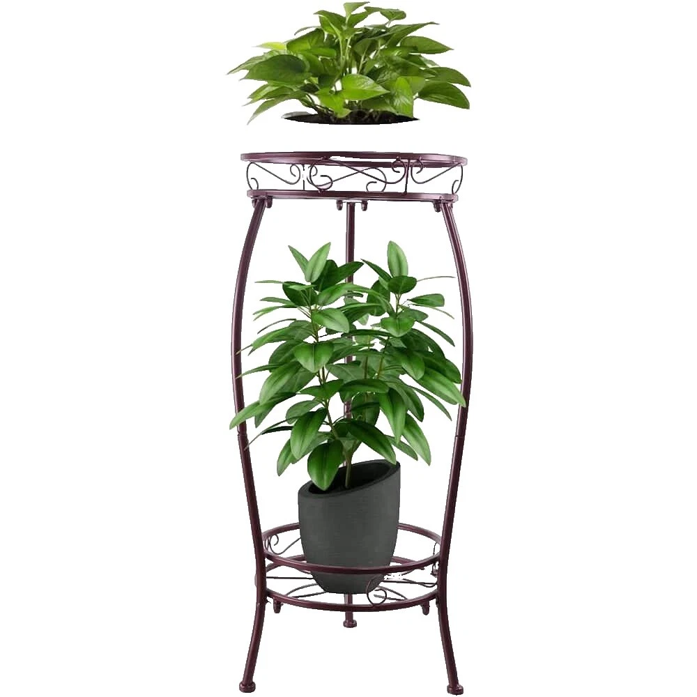 Planta de arco de hierro se encuentra