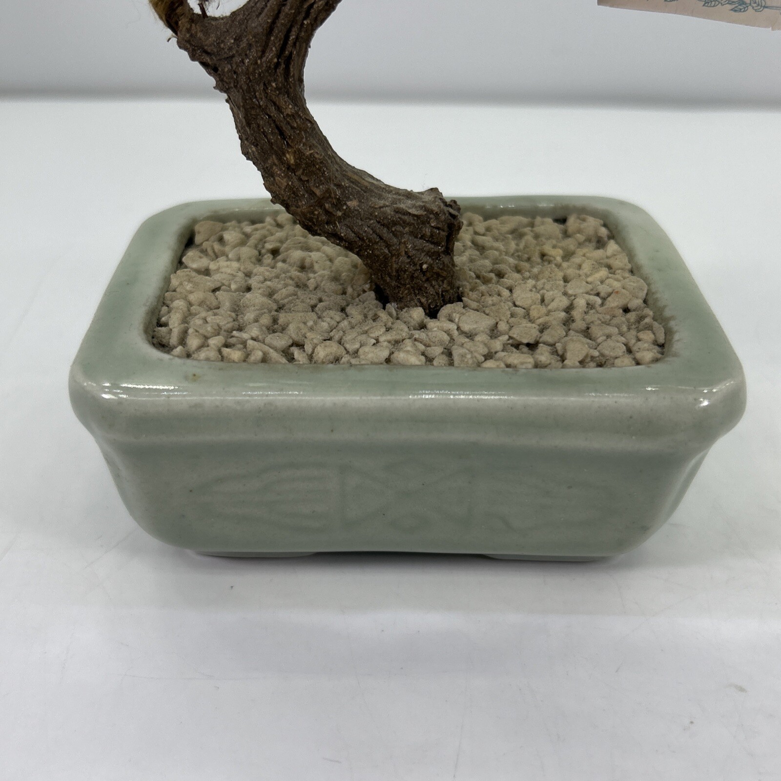 Picture 6 of 12