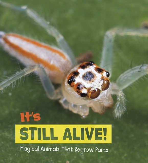 Magical Animals Its Still Alive Magical AnimalsThat by Nikki Potts HARDBACK