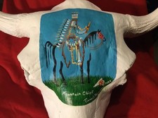 Painted Buffalo Skull done in acrylic the title is Mountain Chief it's about a