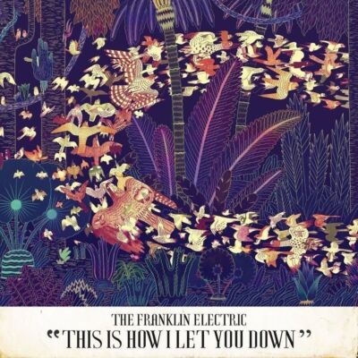 Audio Cd Franklin Electric (The) - This Is How I Let You Down