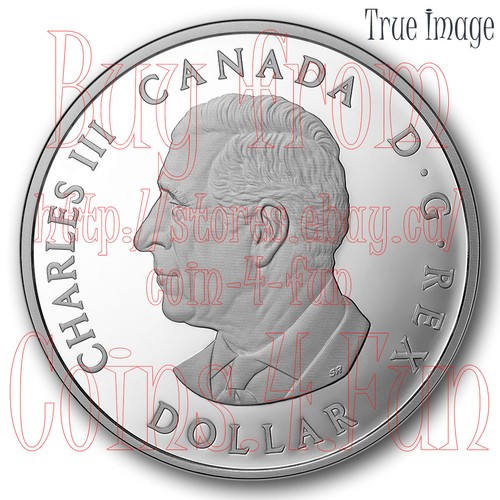 2025 - PAX - Lady Peace Dollar #6 - $1 1 OZ Pure Silver Proof Coin - Canada - Picture 2 of 3