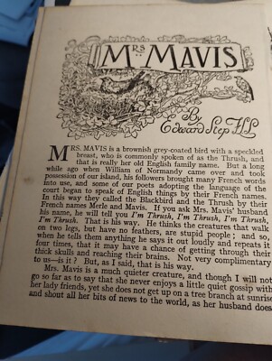 Sk65 Ephemera 1940er Kurzgeschichte Mrs Mavis von Edward Step 