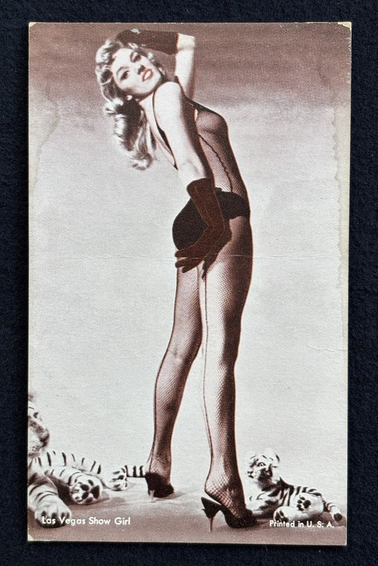 c1940s Las Vegas, SHOWGIRL/ PIN-UP , Risqué arcade/Postcard, White Tigers