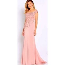 Cameron Blake Mother of Bride Formal Dress Gown 10