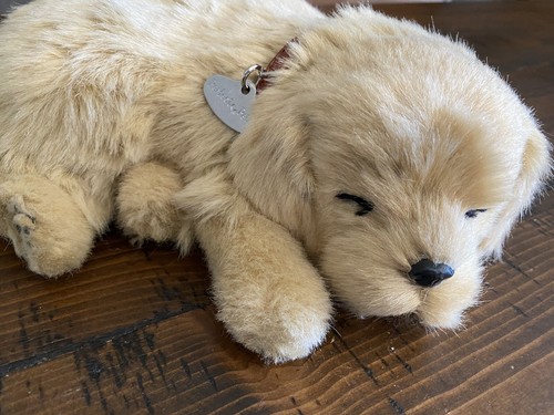 perfect petzzz golden retriever plush breathable dog