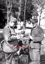 CIRCA 1914-1918 REPRINT PHOTO - SWISS OR GERMAN TROOPS WITH HOMING PIGEONS