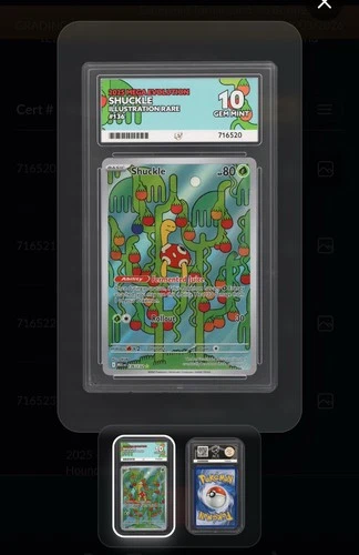 Pokémon TCG - Shuckle - Mega Evolution 136/132 ACE 10 Gem Mint PERFECT SUBGRADES