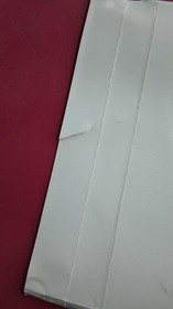 SEGA HDR-0171 Sega Gaga (over-the-counter CD case version)