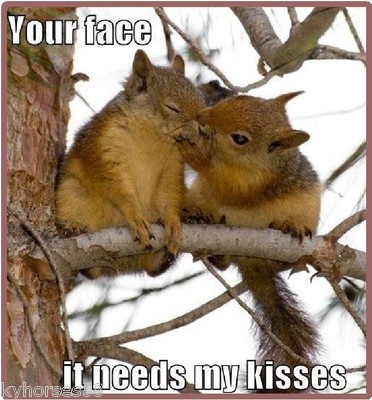 Funny Your Face It Needs My Kisses Refrigerator Magnet  