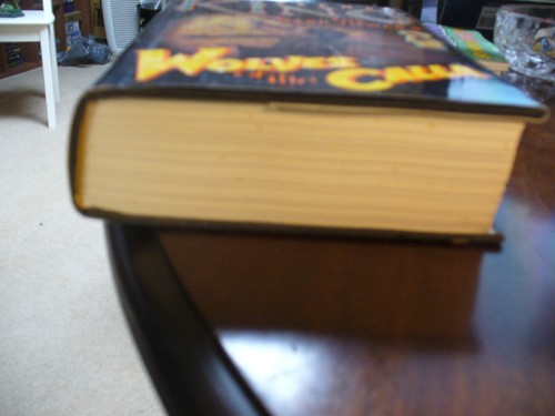 Stephen King ~ Wolves of the Calla ~ The Dark Tower V (1st Trade Edition, HB) - Picture 7 of 12