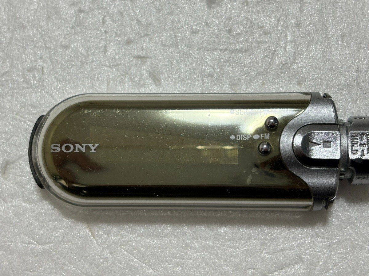 Buy Sony Walkman NW-E507 Silver ( 1 GB ) Digital Media