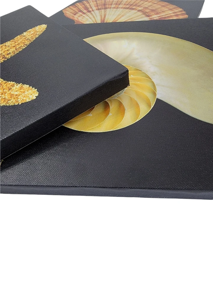 3pc Set Canvas Wall Art Prints Picture Nautilus Seashell Starfish Black Ocean - Image 2 of 4