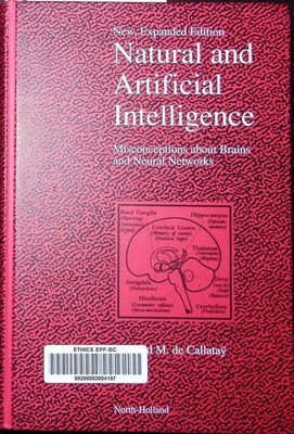 Natural and Artificial Intelligence: Misconceptions about Brains and Neural Netw