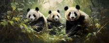 Panda Bamboo Harmony Impressionism Painting Prints on Canvas Home Decor Wall Art