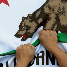 Anley Rip-Proof Technology Double Sided 3-Ply California State Flag 3x5 Foot