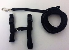 Large Rabbit Nylon Adjustable Harness & Lead Set