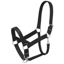 Draft Horse Nylon Halter - Adjustable Fit - 4 Color Choices