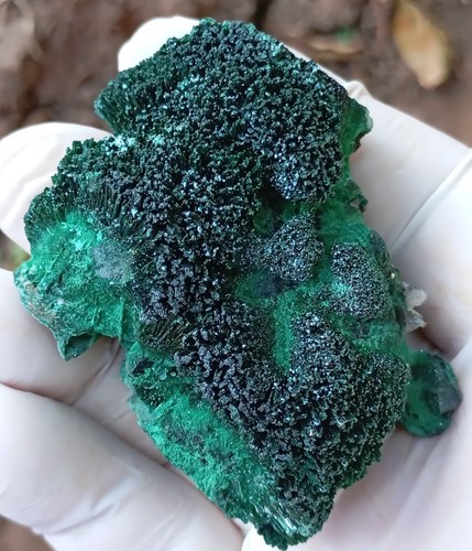 Chrysokoll Malachit und Quarz - Mashamba West Mine DRC Kongo - Bild 4 von 12