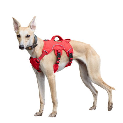 Snootiful Hound Escape Proof Sighthound Harness Whippets