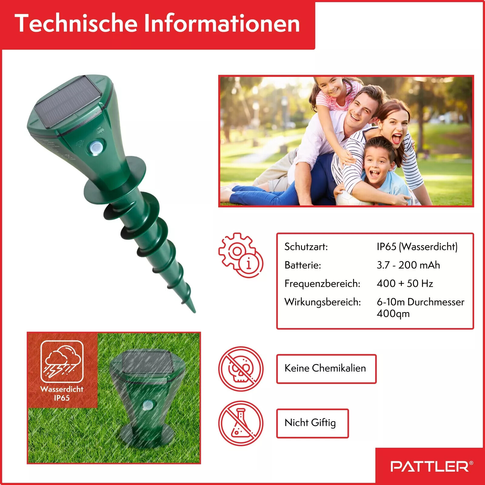Bild 5 von 7