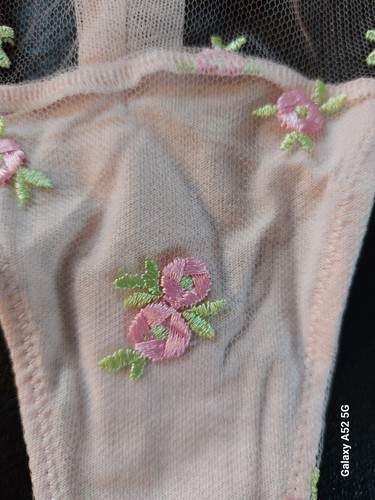 NWT Victoria’s Secret Dream Angels Rosebud Embroidery Bra &Thong 38DD XLarge - Picture 3 of 7