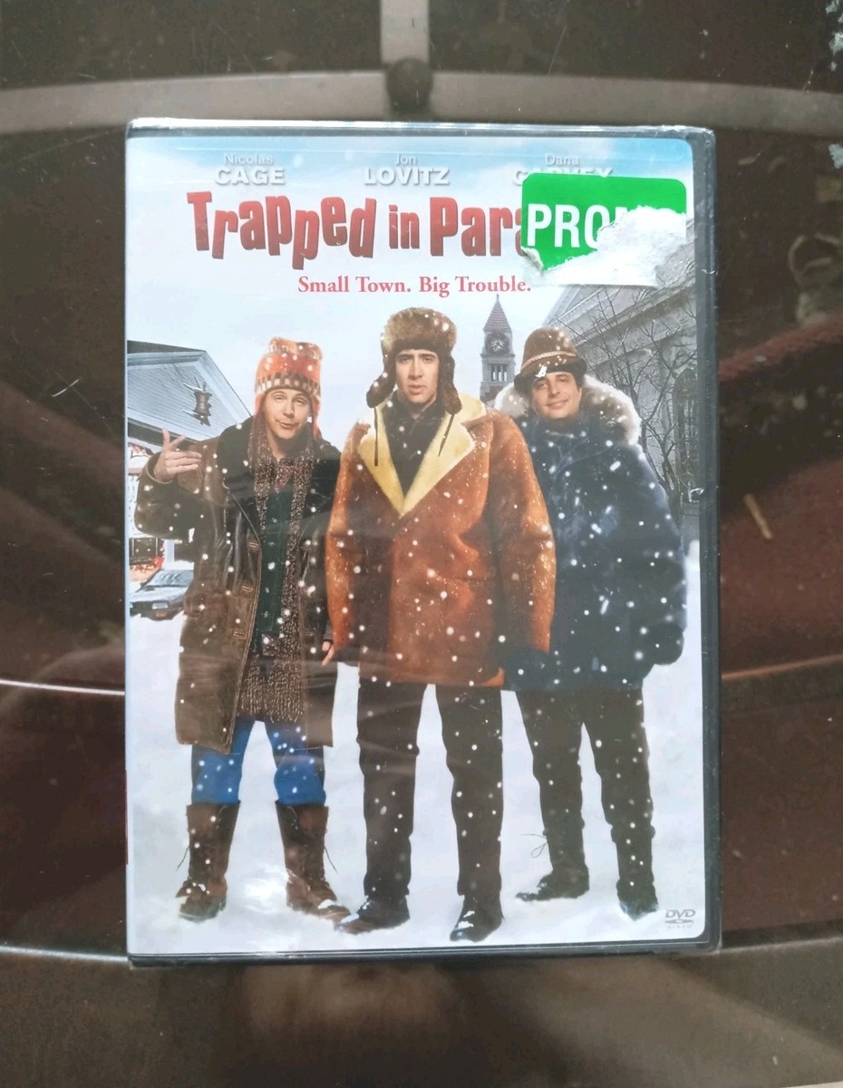 廃盤】『パラダイス』 DVD パラダイス! [DVD] 【公式通販】
