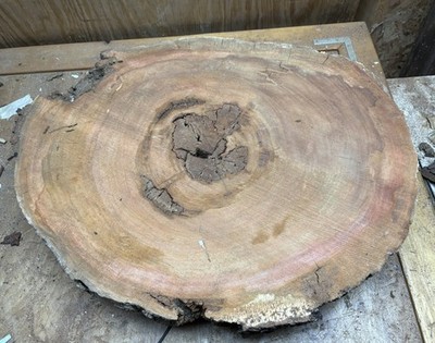 #3, Live Edge Wild Cherry Rounds Cookies Wood Working Craft Wood 26''-21''x 2 3/4''