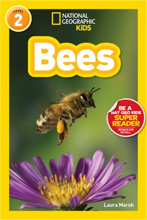 Bees (Paperback or Softback)