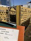 2026 Grammys/SAG Awards Bundle: Olivia Dean Golden Stairs, Red Carpet & Statues — photo 6