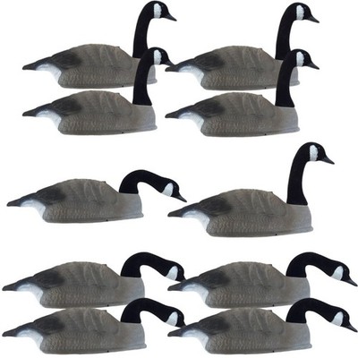 Canada Goose Lockvogel Muschel x10 beflockte Gänse schießen Halbkörper Jagd