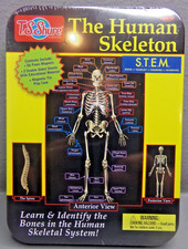 T.S. Shure The Human Skeleton Magnetic Science Tin Stem Activity Age 7 NEW
